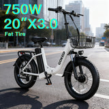 L20 E-Bike 750W motor 48V10AH folding mountain Electric Bicycle Mechanical brake 20*3-inch tire urban commuting Electric Bike