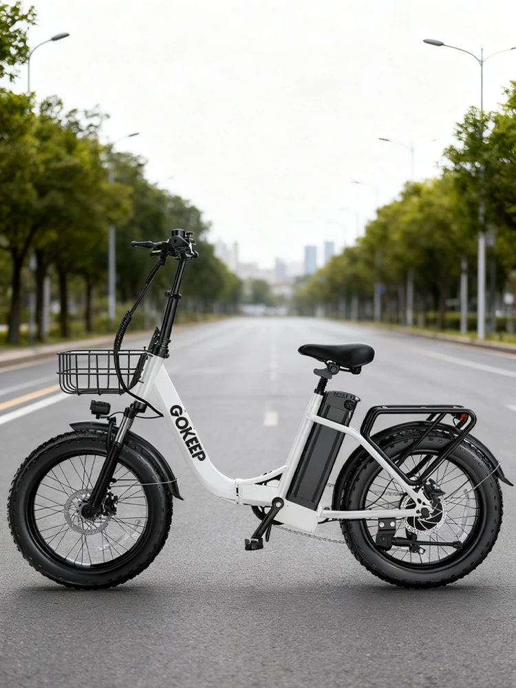 L20  E-Bike 750W motor 48V10AH folding mountain Electric Bicycle Mechanical brake 20*3-inch tire urban commuting Electric  Bike